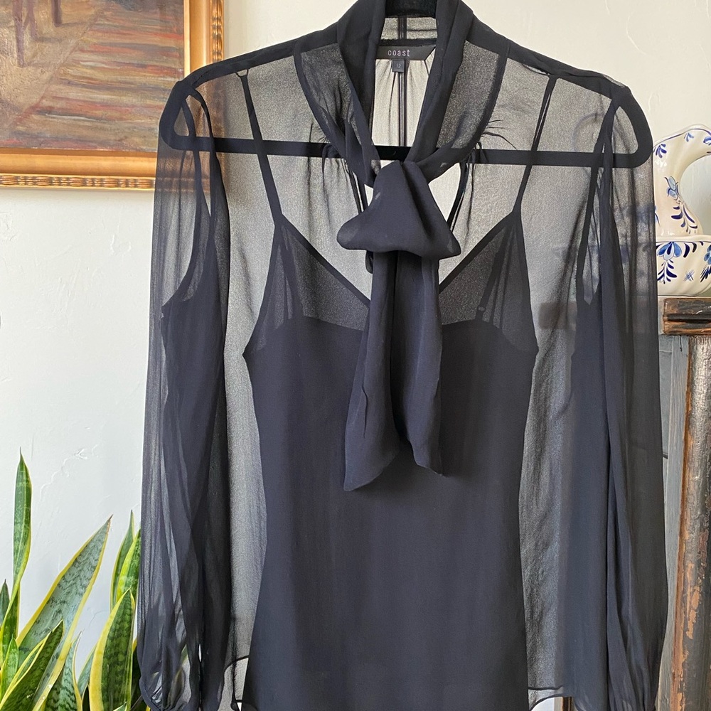 Black Sheer Tie-Neck Blouse